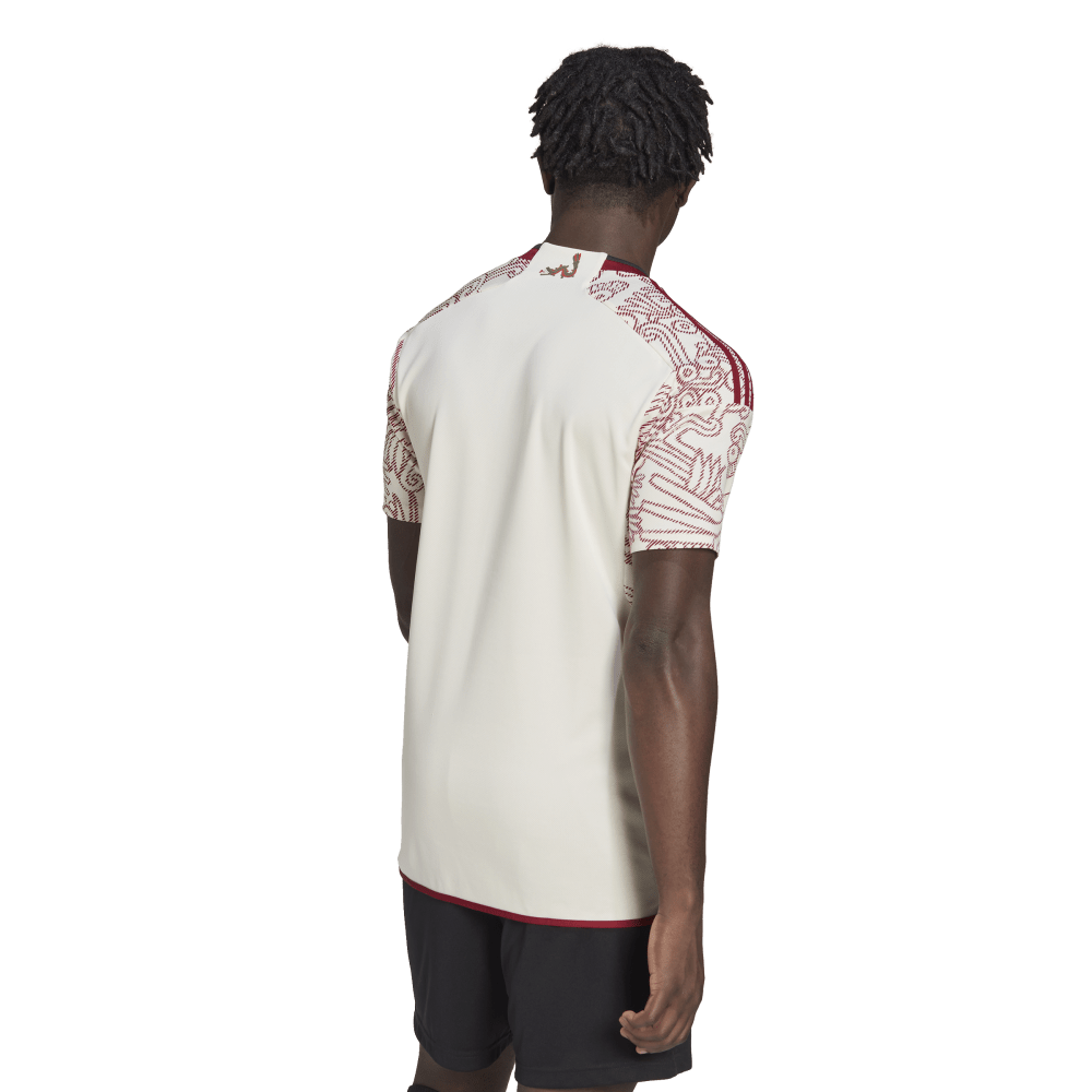 Mens Mexico World Cup 2022 Away Replica Jersey