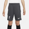 Boys Liverpool FC Academy Pro Training Shorts